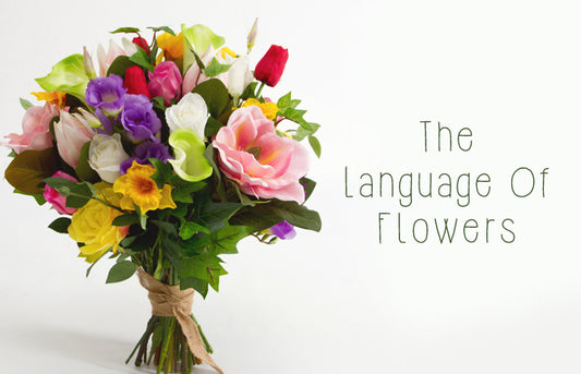 The Language of Flowers: Symbolism in Floral Gifting