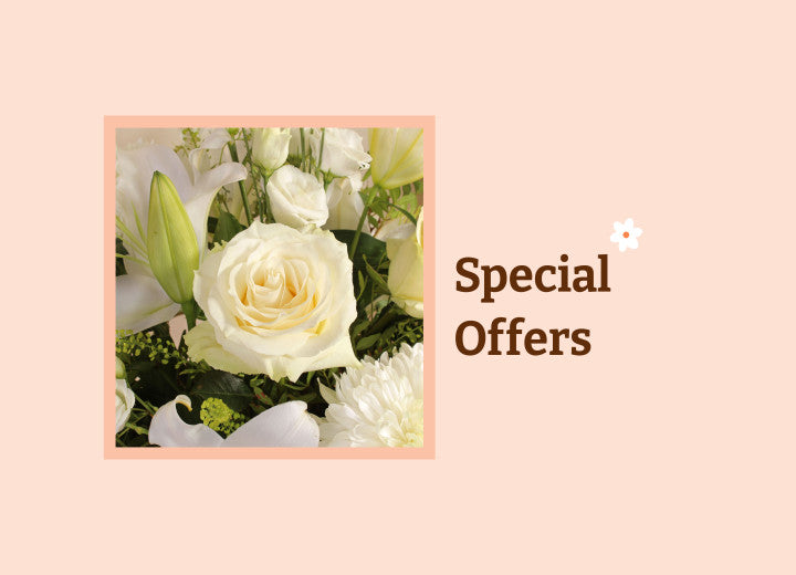 Special Offers